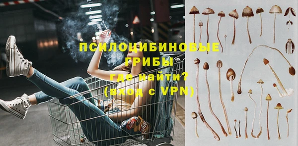 a pvp Богданович