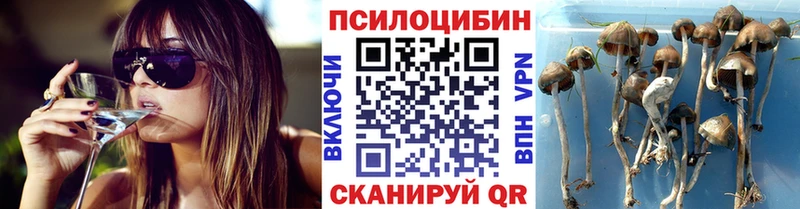 Галлюциногенные грибы Psilocybe  даркнет сайт  Игра 